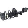 Autopart International Strut/Coil Spring Assy 2701539579