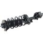 Autopart International Strut/Coil Spring Assy 2701539589