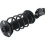 Autopart International Strut/Coil Spring Assy 2701539593