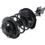 Autopart International Strut/Coil Spring Assy 2701541586