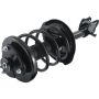 Autopart International Strut/Coil Spring Assy 2701541587