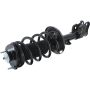 Autopart International Strut/Coil Spring Assy 2701541588
