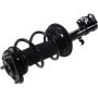 Autopart International Strut/Coil Spring Assy 2701545894