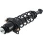 Autopart International Strut/Coil Spring Assy 2701545913