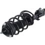 Autopart International Strut/Coil Spring Assy 2701545916