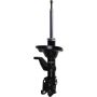 Autopart International Strut Assembly 2701545971