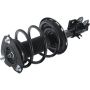 Autopart International Strut/Coil Spring Assy 2701546595
