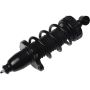 Autopart International Strut/Coil Spring Assy 2701552534