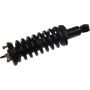 Autopart International Strut/Coil Spring Assy 2701552546