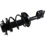 Autopart International Strut/Coil Spring Assy 2701552548