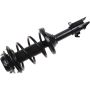 Autopart International Strut/Coil Spring Assy 2701552576