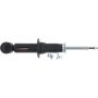 Autopart International Strut Assembly 2701584377
