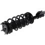 Autopart International Strut/Coil Spring Assy 2701594444