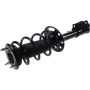 Autopart International Strut/Coil Spring Assy 2701594462