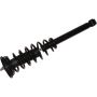 Autopart International Strut/Coil Spring Assy 2701594482