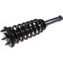 Autopart International Strut/Coil Spring Assy 2701594484