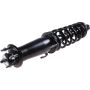 Autopart International Strut/Coil Spring Assy 2701594488