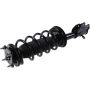 Autopart International Strut/Coil Spring Assy 2701594498