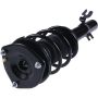 Autopart International Strut/Coil Spring Assy 2701611029