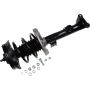 Autopart International Strut/Coil Spring Assy 2701611034