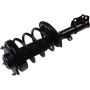 Autopart International Strut/Coil Spring Assy 2701611039