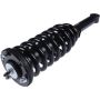 Autopart International Strut/Coil Spring Assy 2701611052