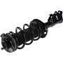 Autopart International Strut/Coil Spring Assy 2701611065