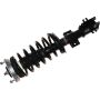 Autopart International Strut/Coil Spring Assy 2701611084