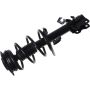 Autopart International Strut/Coil Spring Assy 2701611091