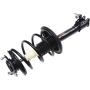 Autopart International Strut/Coil Spring Assy 2701611101
