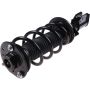 Autopart International Strut/Coil Spring Assy 2701611103