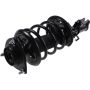 Autopart International Strut/Coil Spring Assy 2701611111
