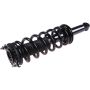 Autopart International Strut/Coil Spring Assy 2701611120