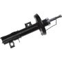 Autopart International Strut Assembly 2701634859