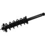 Autopart International Strut/Coil Spring Assy 2701634916