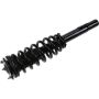 Autopart International Strut/Coil Spring Assy 2701634932