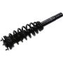 Autopart International Strut/Coil Spring Assy 2701634934