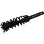 Autopart International Strut/Coil Spring Assy 2701634935
