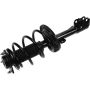 Autopart International Strut/Coil Spring Assy 2701634938