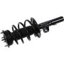 Autopart International Strut/Coil Spring Assy 2701634955