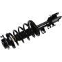 Autopart International Strut/Coil Spring Assy 2701634981