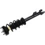 Autopart International Strut/Coil Spring Assy 2701635000