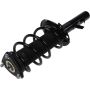 Autopart International Strut/Coil Spring Assy 2701651653