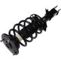 Autopart International Strut/Coil Spring Assy 2701651662