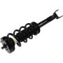 Autopart International Strut/Coil Spring Assy 2701651669