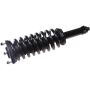 Autopart International Strut/Coil Spring Assy 2701651681