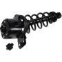 Autopart International Strut/Coil Spring Assy 2701651698