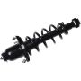 Autopart International Strut/Coil Spring Assy 2701654355