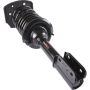 Autopart International Strut/Coil Spring Assy 2701654362