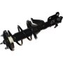 Autopart International Strut/Coil Spring Assy 2701654371